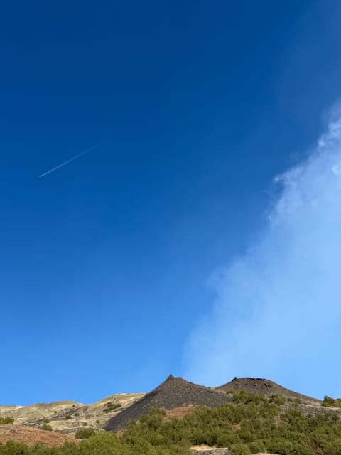 Catania: Mount Etna Morning Jeep/Van Tour - From Pickup to Drop-off in Catania