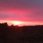 Catania: Mount Etna Sunset Trekking with Wine Tasting - Exploring the Impressive Lava Flows and Craters