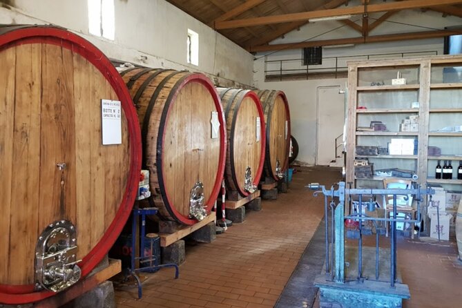 Catania: Wine Tour - Tasting Sicilian Wines and Local Appetizers