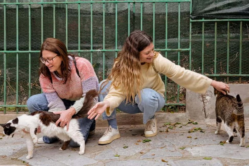 Cats of Athens - Walking Tour - Exploring Thissio: The Heart of the Cat Tour