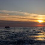 Cavtat Sunset Cruise with Unlimited Drinks Small Group Experience - The Drinks Included: Wine, Beer, Soft Drinks, and Water