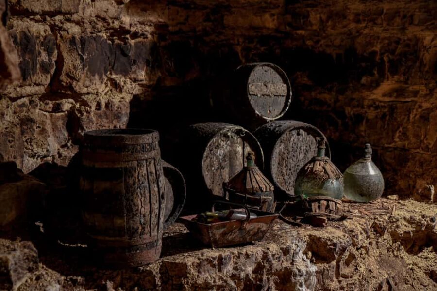 Cellar tour and tasting of the estate's wines in Saint Bris - The Historic Cellars of Saint Bris