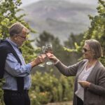 Celorico De Basto: Quinta de Santa Cristina Winery Tour - The Unique Setting of Quinta de Santa Cristina in the Vinho Verde Region