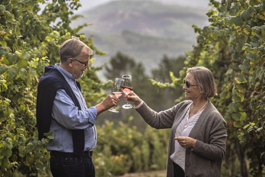 Celorico De Basto: Quinta de Santa Cristina Winery Tour - The Unique Setting of Quinta de Santa Cristina in the Vinho Verde Region
