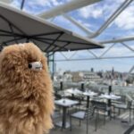 Centre Pompidou: Museum Ticket Entry& 3h Private Guided Tour - The Unique Architecture of Le Centre Pompidou