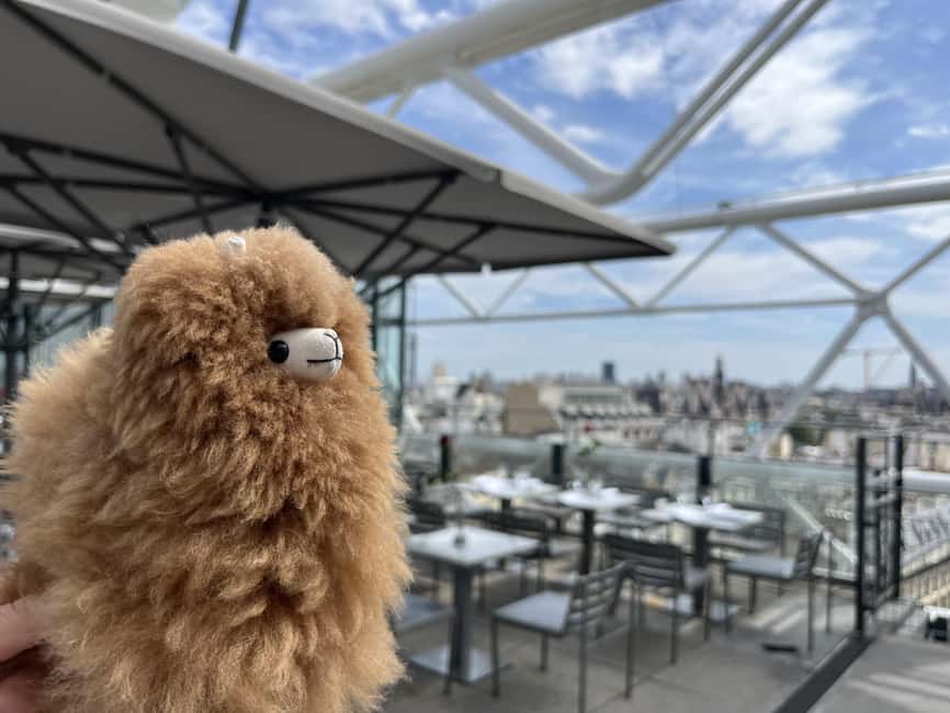 Centre Pompidou: Museum Ticket Entry& 3h Private Guided Tour - The Unique Architecture of Le Centre Pompidou