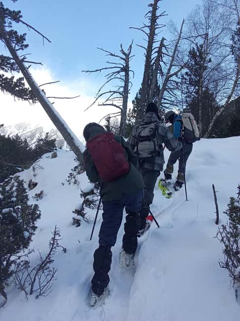 Cerdanya: Snowshoe tour through the forests and lakes of the Pyrenees - Crossing a Frozen Lake in La Cerdanya