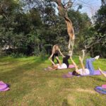 Certified Pilates Class in the National Garden of Athens - What to Expect During the 1.5-Hour Class