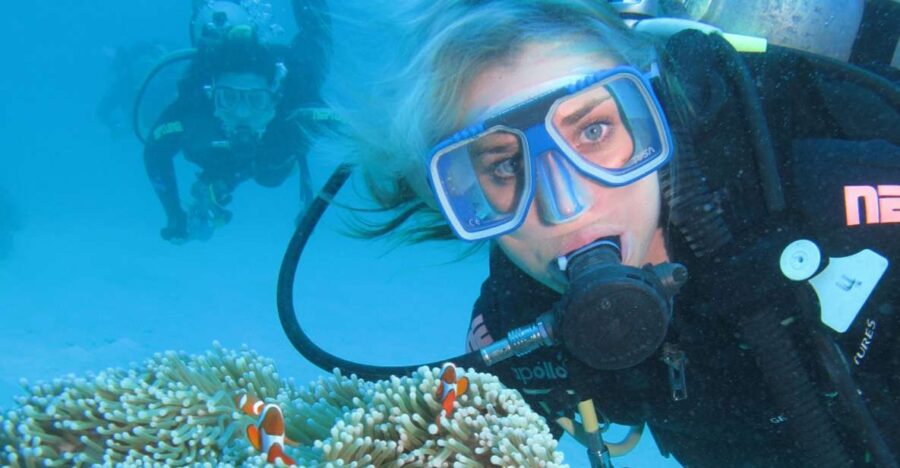 Cesme: Scuba Diving Experience - How the Cesme Scuba Diving Tour Is Organized
