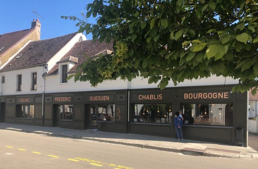 Chablis: Visit of the Grand Cru vineyard - From the Vineyard to the Tasting Room