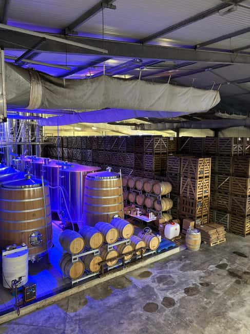 Champagne Day Tour Tours, tastings, and lunch included - Practical Details and Restrictions