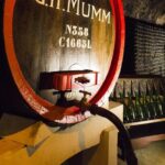 Champagne Day Tour with Reims, Cellars Visit & Champagne Tasting from Paris - Exploring the Vineyards and Scenic Vistas