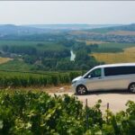 Champagne Day Trip from Reims including 7 Champagne Tastings - A Closer Look at Small Champagne Houses in Rilly-la-Montagne