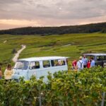 Champagne experience with a vintage van from Epernay - 3 hours - Visiting the Village of Aÿ-Champagne and Its Vineyards