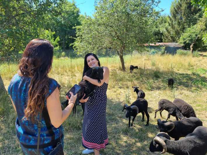 Champagne Vineyard Experience: Delve into the terroir - Discovering the Oldest Vines and Historic Cellars