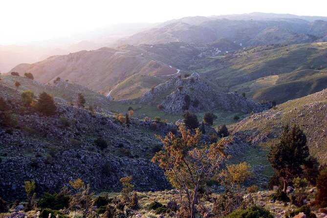 Chania 4x4 Sunset Safari Tour - Frequently Asked Questions