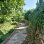 Chania: 5-Wine Tasting with Locals in Village near Kissamos - Tasting 5 Small-Scale Crete Wines