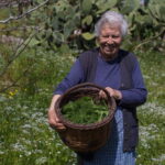 Chania: Cretan Wine, Olive Oil & Cooking Workshop - Starting at a Family-Owned Winery with Guided Tastings