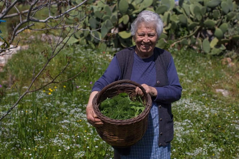 Chania: Cretan Wine, Olive Oil & Cooking Workshop - Starting at a Family-Owned Winery with Guided Tastings