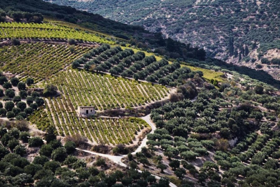 Chania Luxuries: Secrets of Wine and Olive Oil Tastings - Starting Point: Private Jeep and Local Guide in Chania