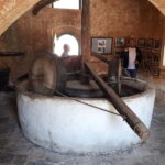 Chania: Olive Harvest Day Trip with Guide & Transport - Discovering Crete’s Olive Groves and Harvesting Methods