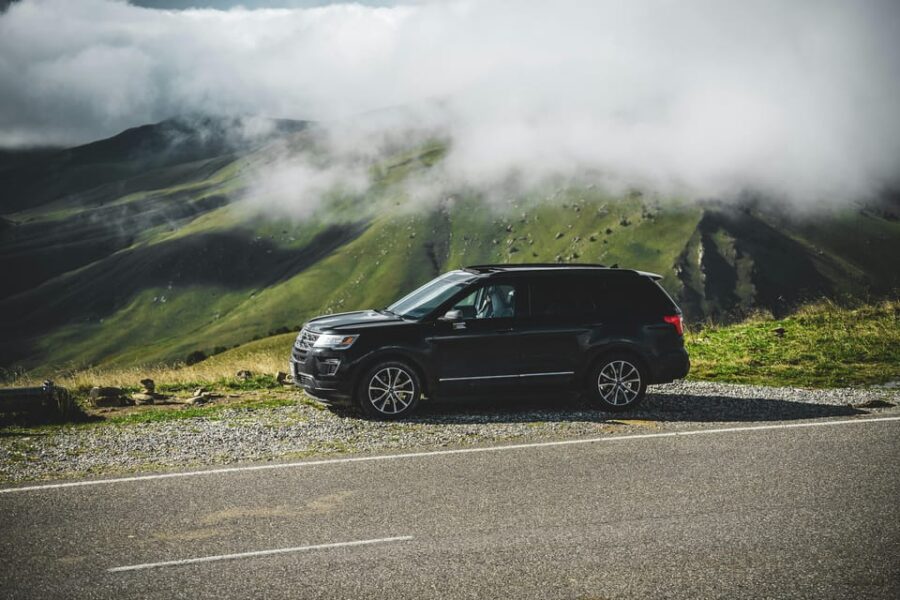 Chania Olive Tour: 3,000-Year-Old Tree, Museum &Organic Mill - Exploring the Olive Museum’s Fascinating Exhibits