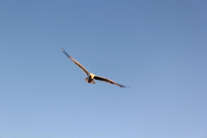 Chania Pink Beaches Private Tour: Elafonisi & Falassarna - Visiting Falassarna Beach: The First Stop