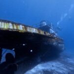 Chania Scuba Diving | Boat Dives | Certified Divers - The Underwater Environment and Marine Life