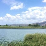 Chania to the Lakes of Crete: Private tour to Aqua Paradise - Visiting the Largest Freshwater Lake of Crete: Lake Kournas