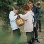 Chania Treasure Hunt : In olive Mill - The Treasure Hunt in the Olive Grove: Solving Riddles and Puzzles