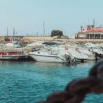 Charming Faro - Private Walking Tour - Discover Faro’s Main Square and Garden