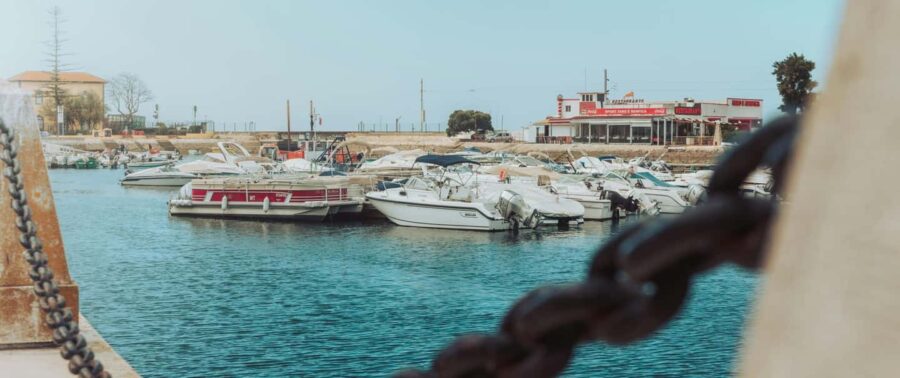Charming Faro - Private Walking Tour - Discover Faro’s Main Square and Garden