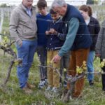 Château Arton Guided Tour and Armagnac Tasting - The Starting Point at Château Arton