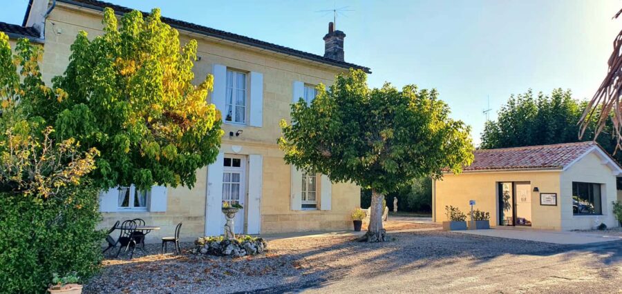 Château Champion: Sensory Workshop - The Estate Tour: Vineyards, Vat Room, and Barrel Cellar