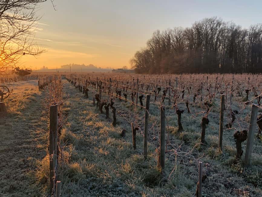 Château Champion: Winter walk and comfort by the fire - Accessibility and Practical Details