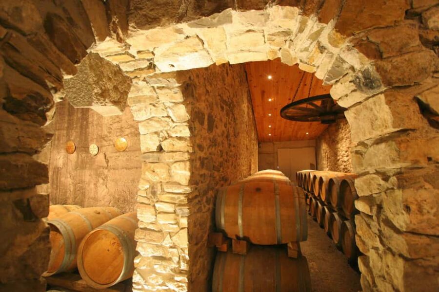 Château Villemagne: Tour of the cellar and tasting of our wines. - Art Exhibits and Local Cultural Highlights
