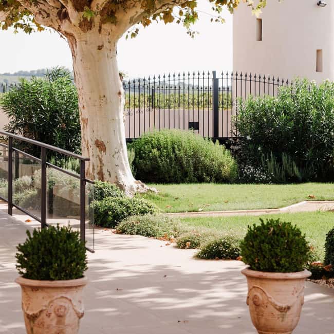 Châteauneuf-du-Pape: tour/tasting in the heart of Domaine Tour St Michel - Location and How to Find the Estate