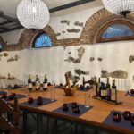 Check out an oil mill and enjoy a tasting with snacks and wine pairing - Inside La Aceitera de la Abuela: The Guided Tour