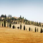 Chianti and Castle Small Group Tour from Siena with Wine Tasting - Discovering Castellina in Chianti’s Charm