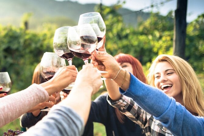 Chianti Classico wine Tour and Tasting - Visiting a Historical Family Estate in Chianti