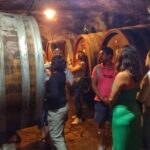 Chianti: eno-excursion through the vineyards - Visiting Castello di Montefioralle: A Village and Castle with Panoramic Views