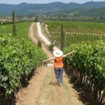 Chianti Half-Day Wine Tour in the Tuscan Hills Small Group from Lucca - Starting Point at Porta San Pietro in Lucca