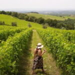 Chianti vineyards: Small-Group tour with wine tasting & Dinner - Candlelit Outdoor Dinner Under the Stars