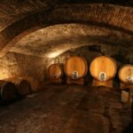 Chianti: Wine and Olive Oil Tasting with Cellar Tour - Exploring the Modern and Historic Cellars