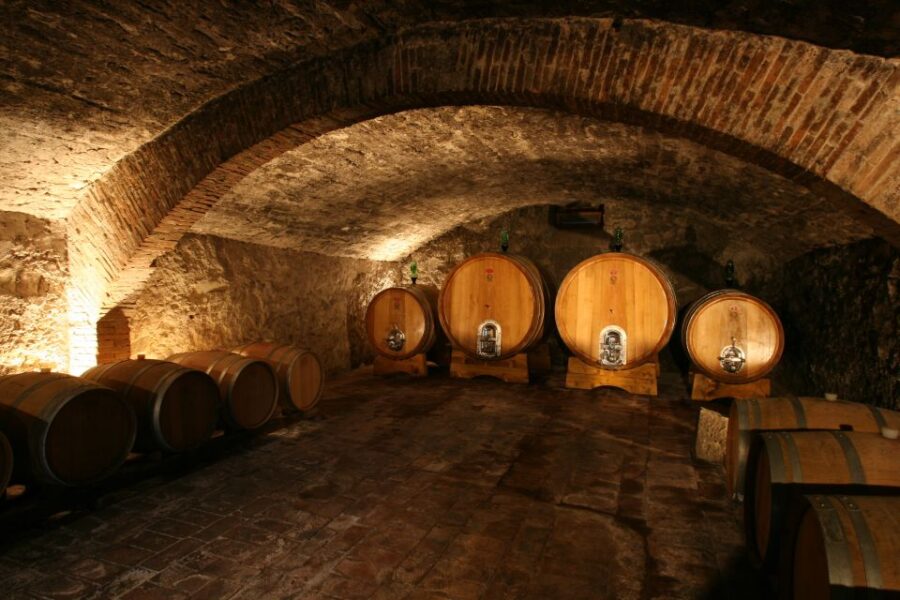 Chianti: Wine and Olive Oil Tasting with Cellar Tour - Exploring the Modern and Historic Cellars