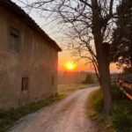 Chianti Wine and Special Light Lunch - Learning About Tuscan Wine and Cuisine in a Private Setting