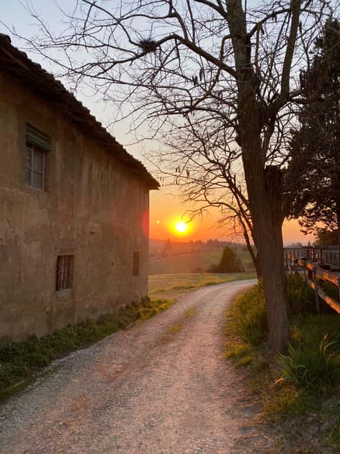 Chianti Wine and Special Light Lunch - Learning About Tuscan Wine and Cuisine in a Private Setting