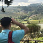 Chianti Wineries Tour with Tuscan Lunch and San Gimignano - Wine Tasting at Two Scenic Vineyards