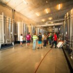 Chinon : Discovery Tours and Wine Tasting - From the Vineyard to Your Glass: Exploring Terroirs and Techniques