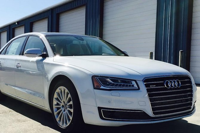 Chisinau Airport Transfer (one way) - Meet Your Driver at Chisinau Airport for a Hassle-Free Arrival